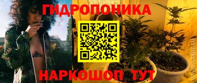стафф Заводоуковск