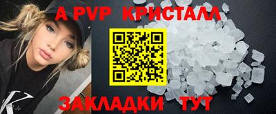 стафф Заводоуковск