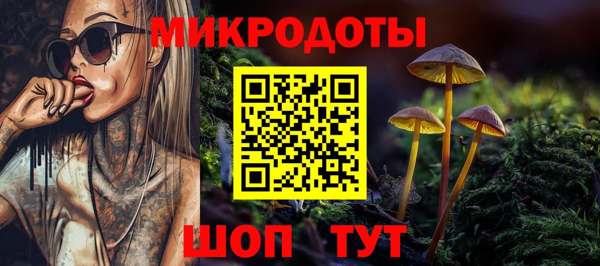 Псилоцибиновые грибы прущие грибы Мурино
